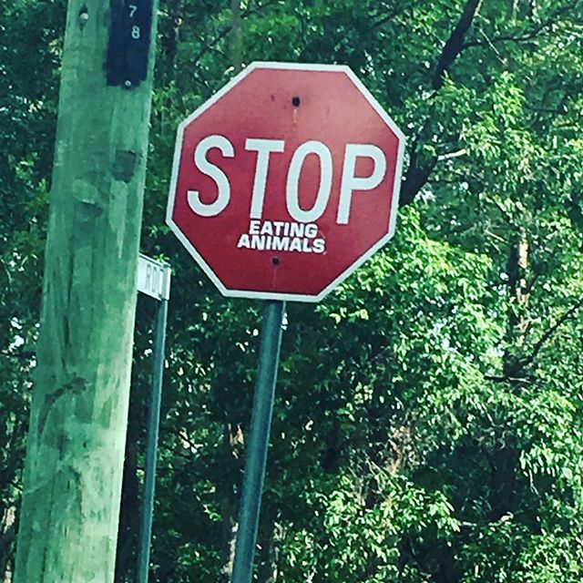 I spotto’d this sign on the way home from hustling BBQ yesterday up at the @sunshinecoastbrewery - I’m not really sure what their trying to say... I just don’t get it.. as I drive past smelling of fire and BBQ Goodness !? 🏻