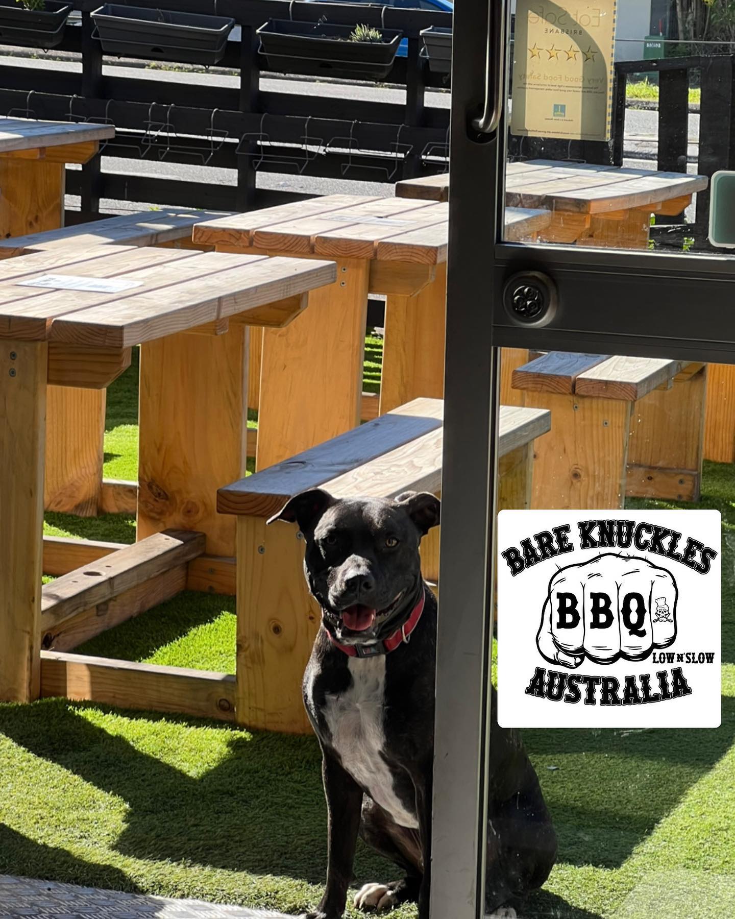 HI THERE, BKBs resident dog Linus here! Just reminding all the customers that our garden is most definitely a dog friendly space!  So please BYO dog and alcohol and my family would love to serve some yummy BBQ to you! Also don’t forget we have footy on every day from Thursday - Sunday, go Broncos (but don’t tell my mum I said that) 🏽 See you and your four legged friends at 5pm.